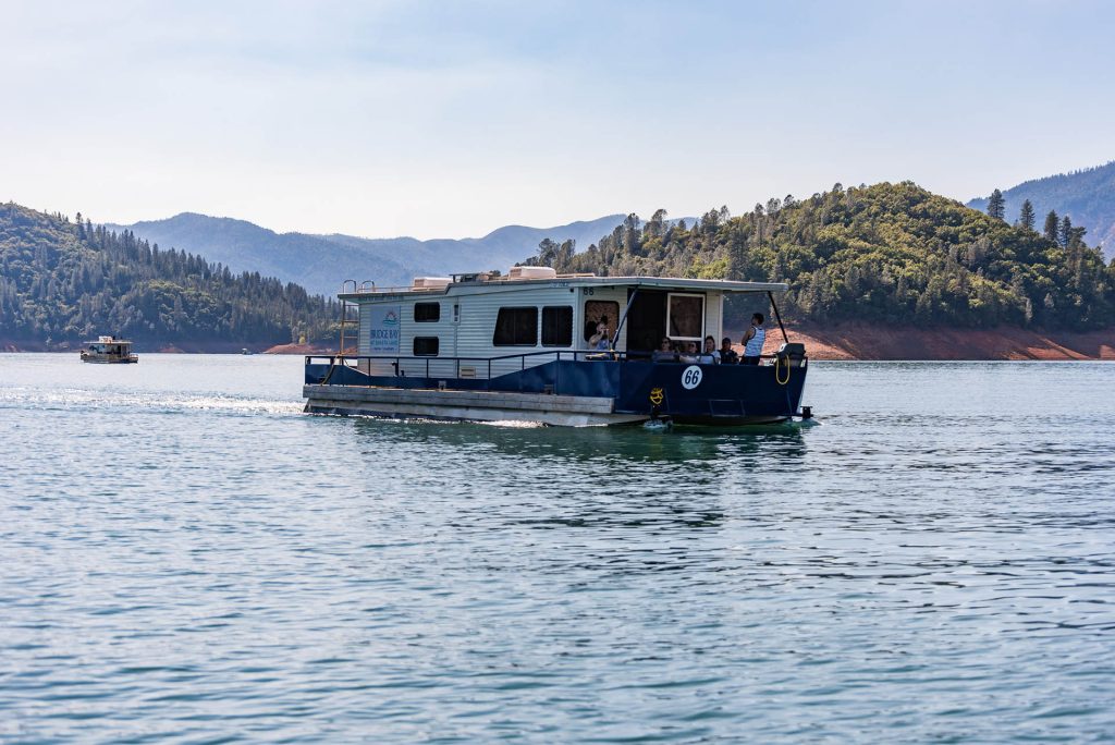 a view of Shasta Lake's shoreline, where the lush greenery meets the crystal-clear sea waters
